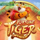 Fortune Tiger